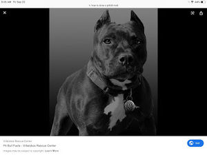 Meet your Posher, Leonardo